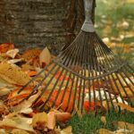 Rake + Leaves